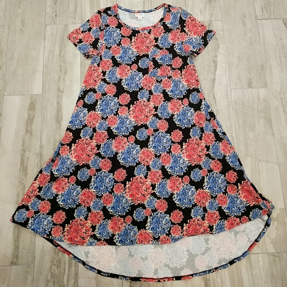 XS Lularoe Carly, blue/pink floral